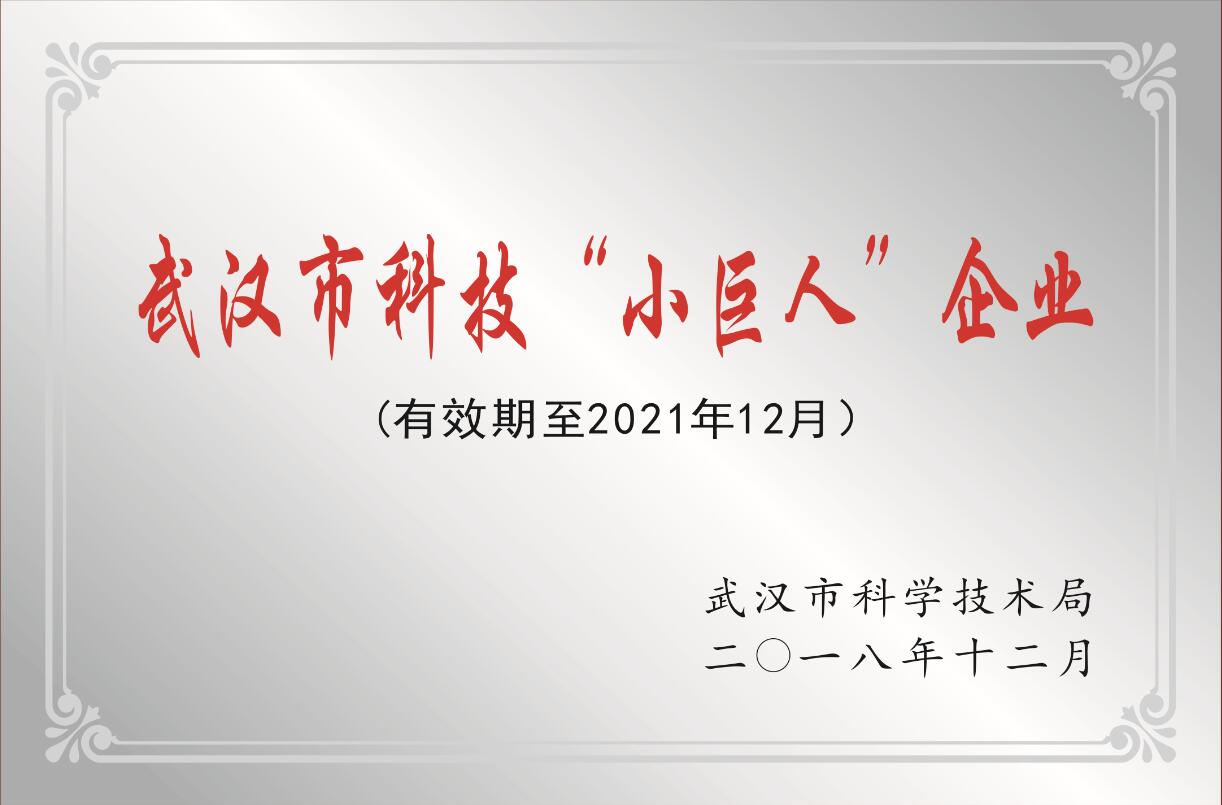 威駿集團(tuán)榮獲武漢市科技“小巨人”企業(yè)